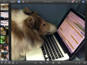 iPhoto on iPad
